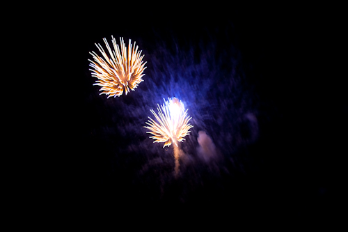 Fireworks Or Sea Life? - Preview